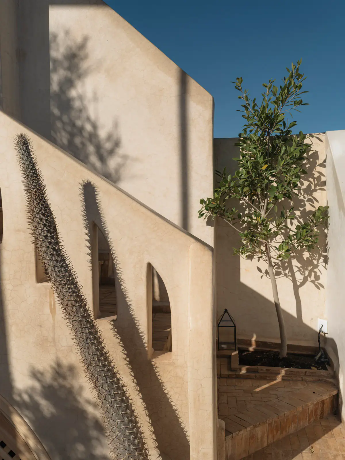 Tricky Tales — DSCF4471